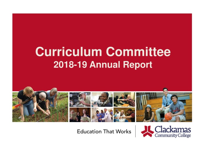 curriculum committee 2018 19 annual report