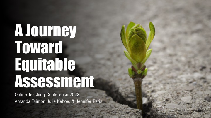 a journey toward equitable assessment online