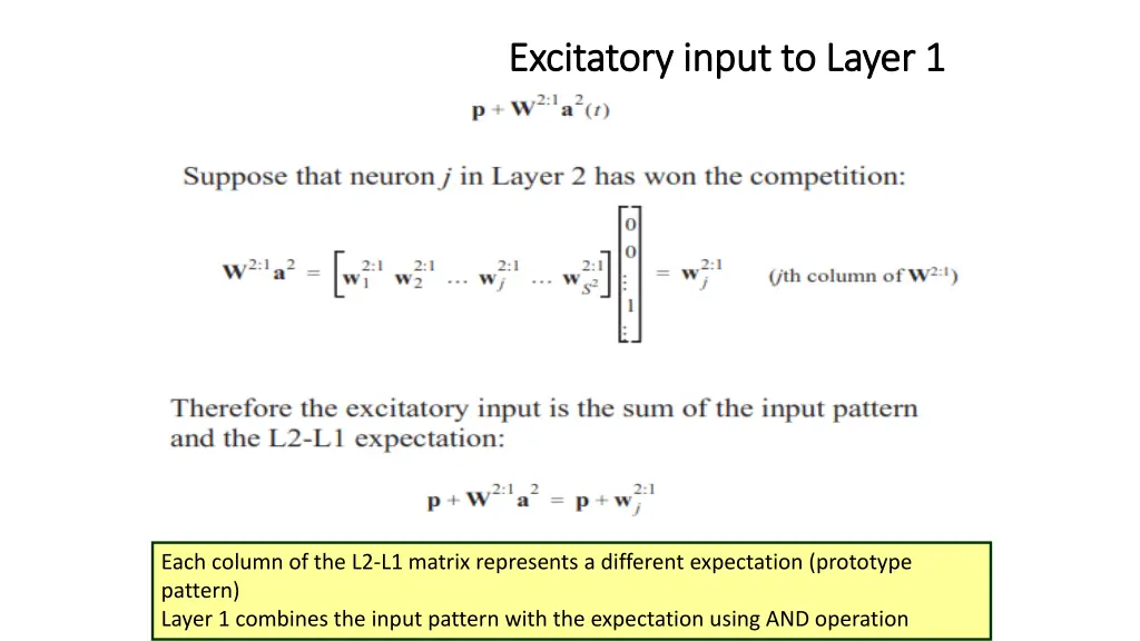 excitatory input to layer excitatory input