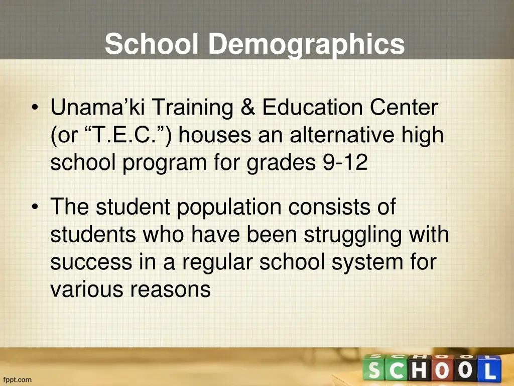 school demographics