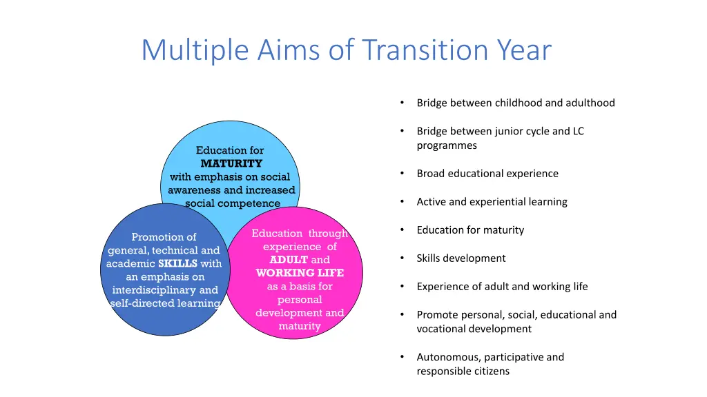 multiple aims of transition year