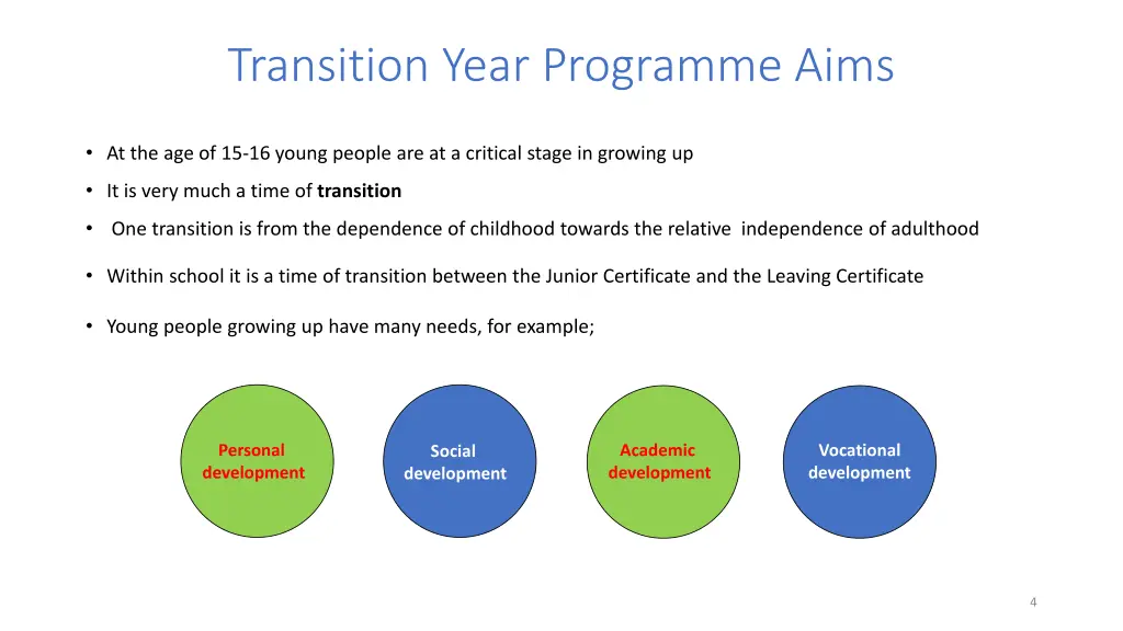 transition year programme aims