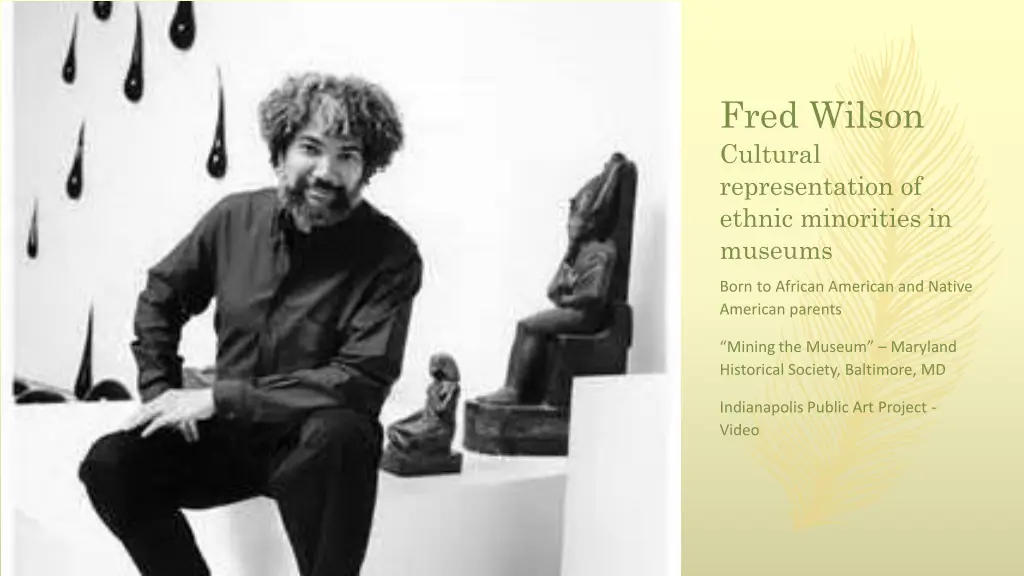 fred wilson cultural representation of ethnic