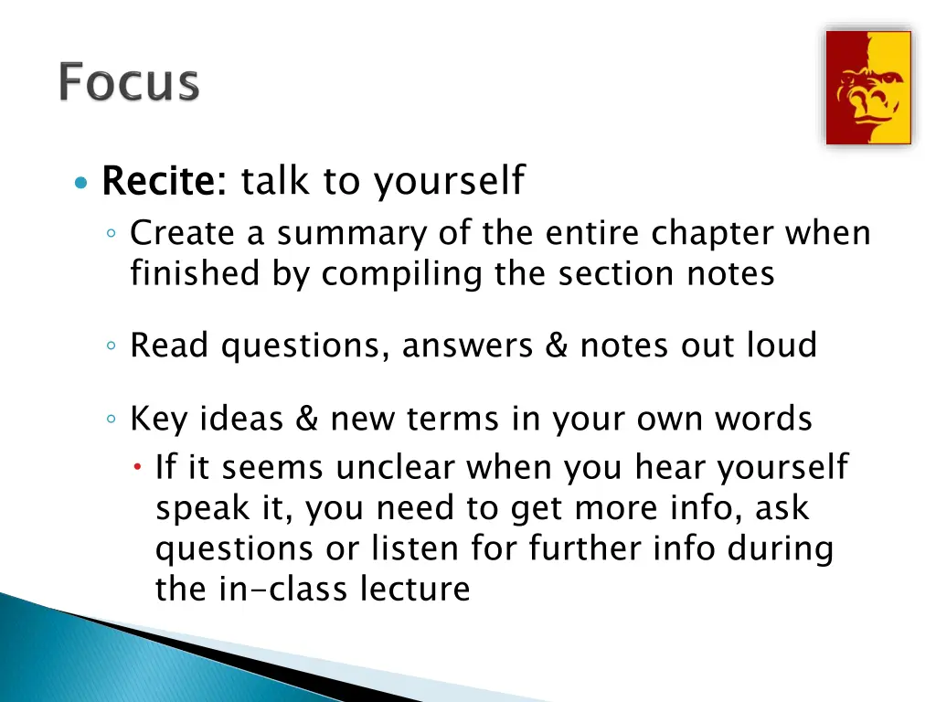 recite create a summary of the entire chapter