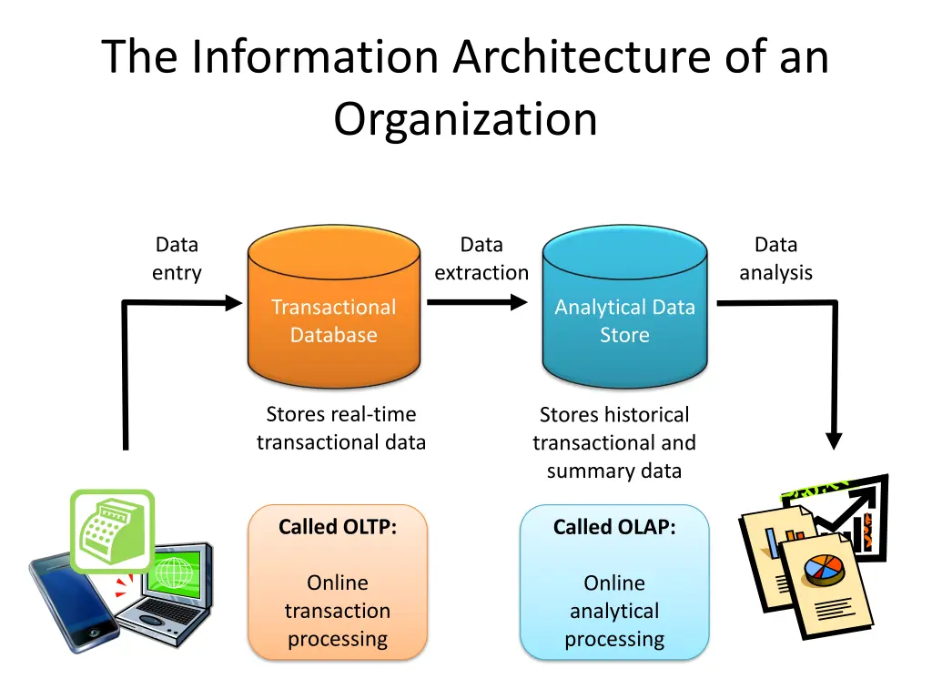the information architecture of an organization