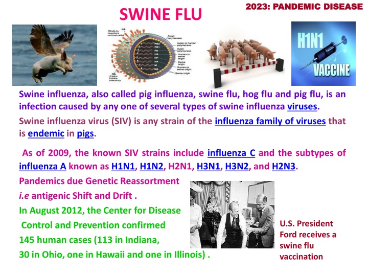 2023 pandemic disease 2023 pandemic disease