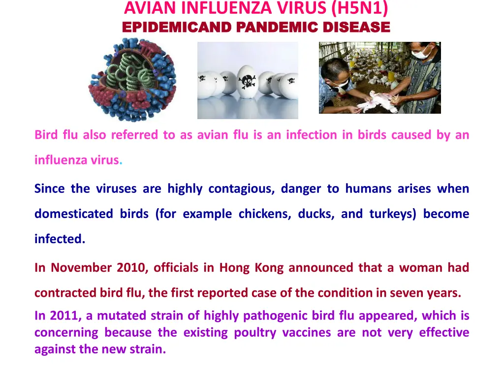 avian influenza virus h5n1 epidemicand pandemic