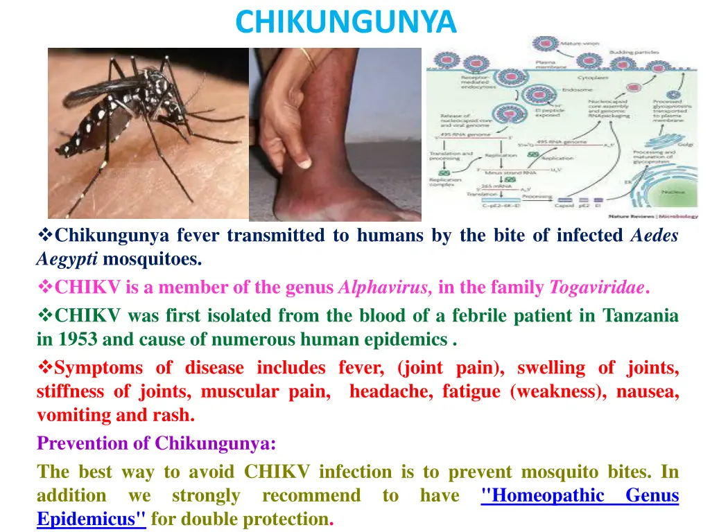 chikungunya
