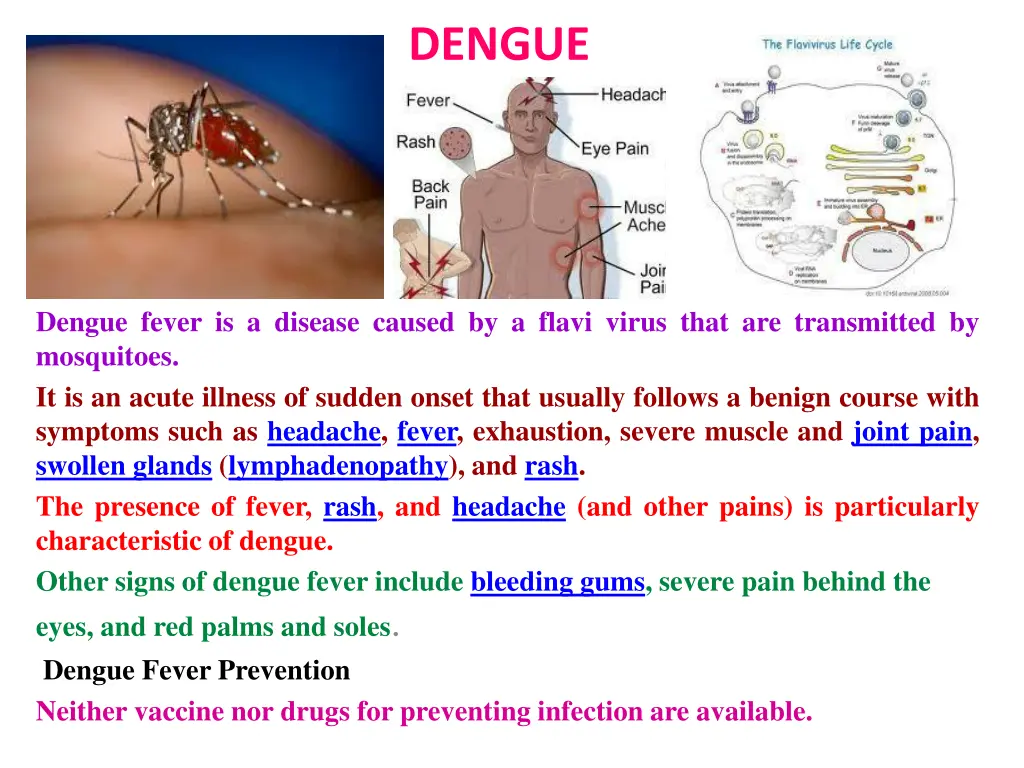 dengue