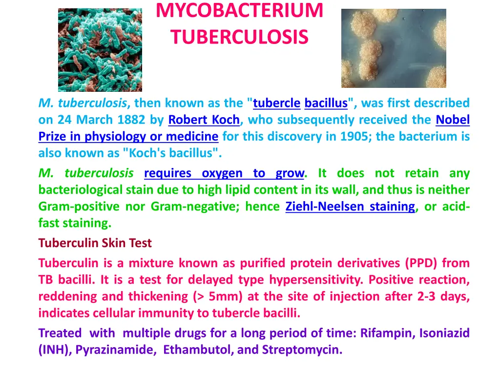 mycobacterium tuberculosis