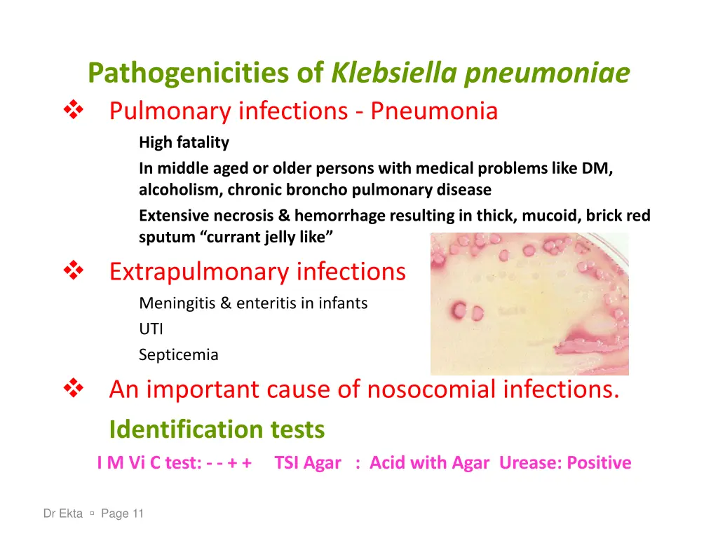 pathogenicities of klebsiella pneumoniae