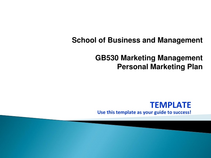 school of business and management