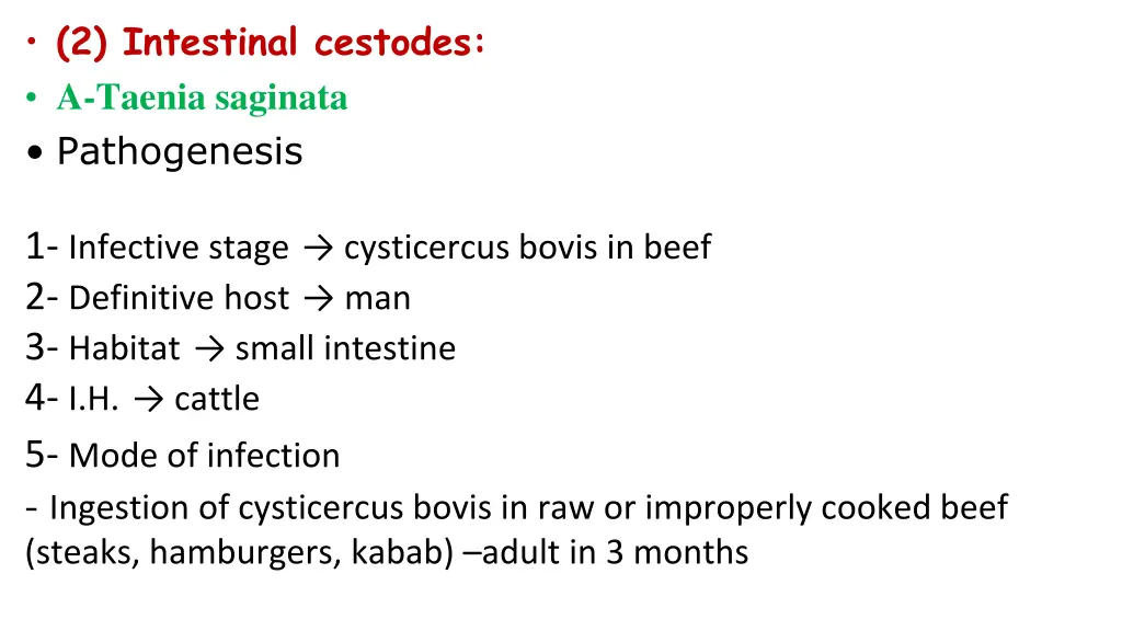 2 intestinal cestodes a taenia saginata