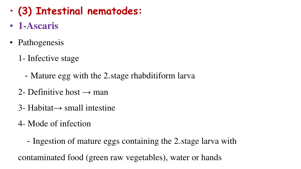 3 intestinal nematodes 1 ascaris