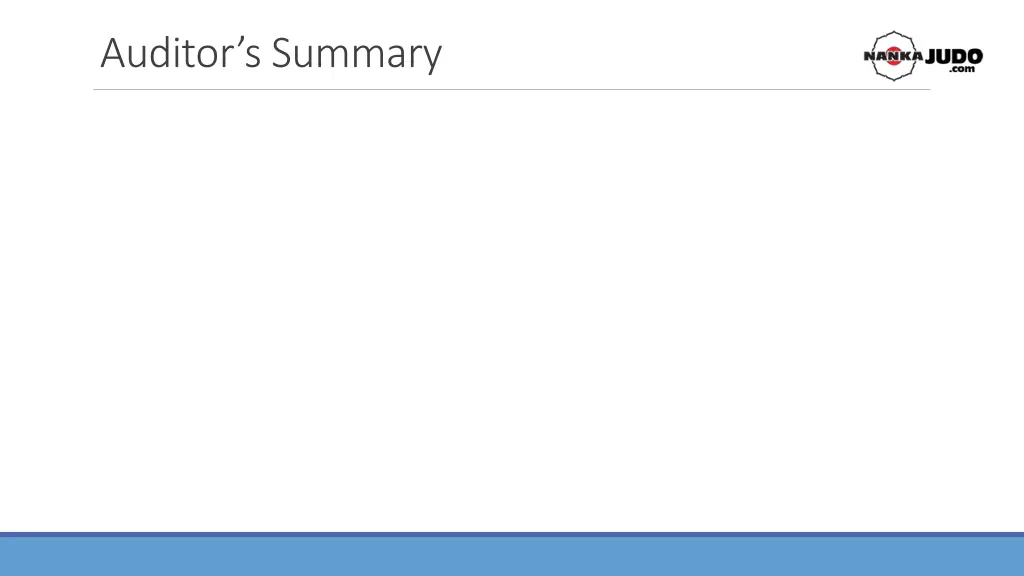 auditor s summary