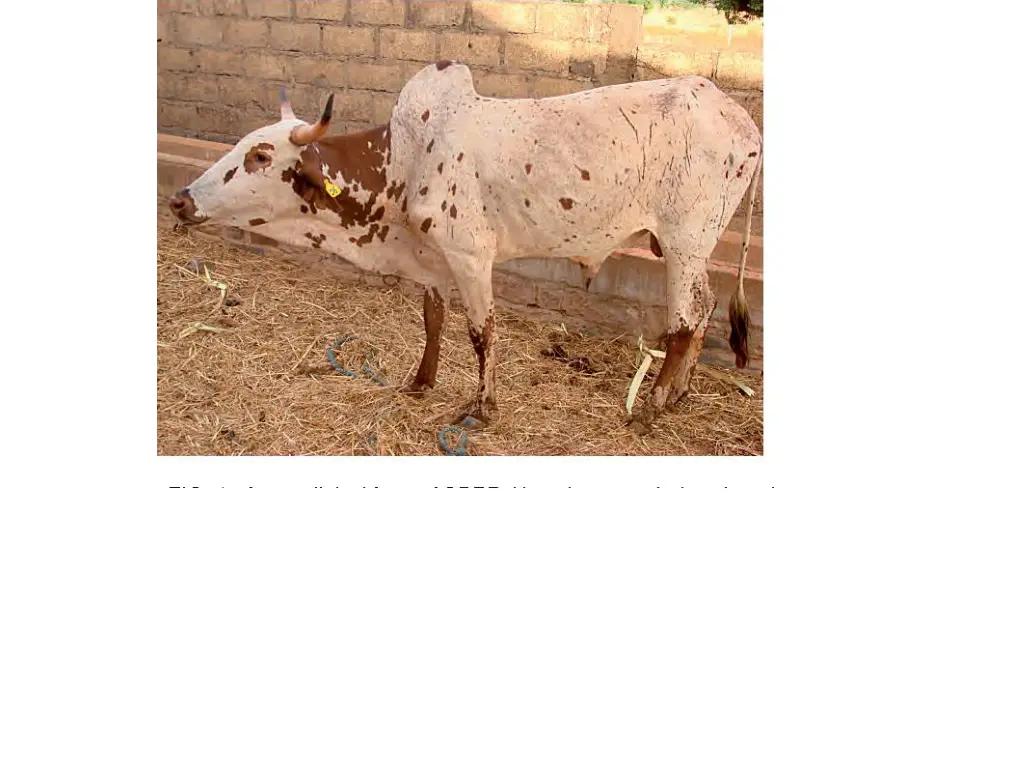 slide18
