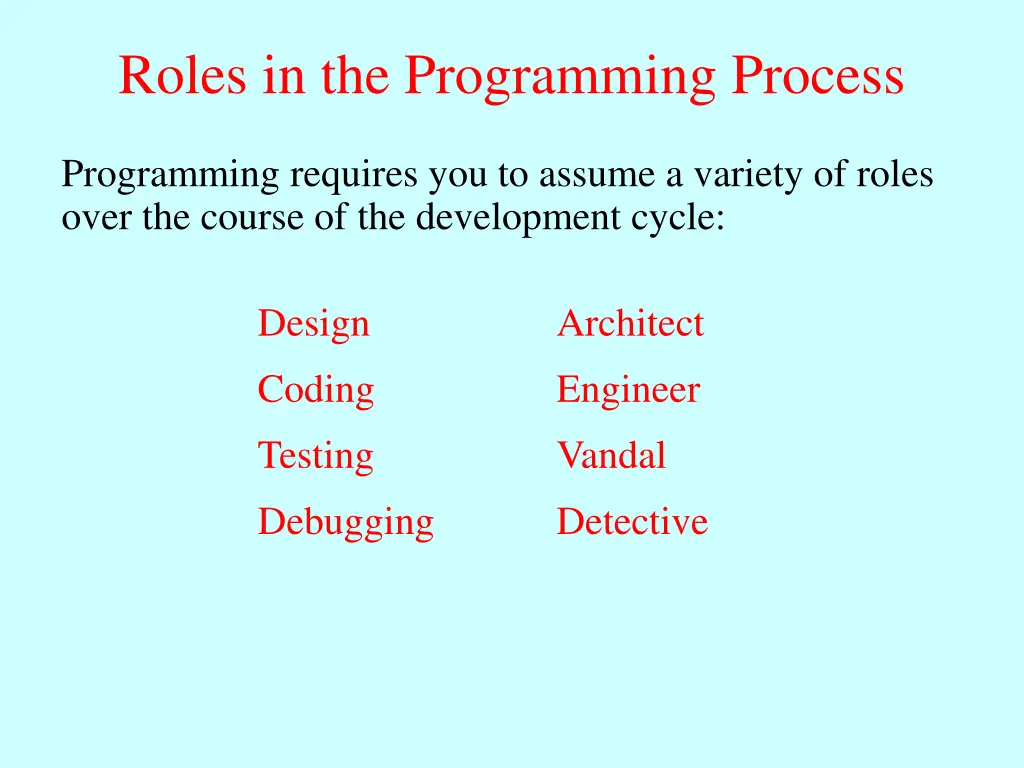 roles in the programming process