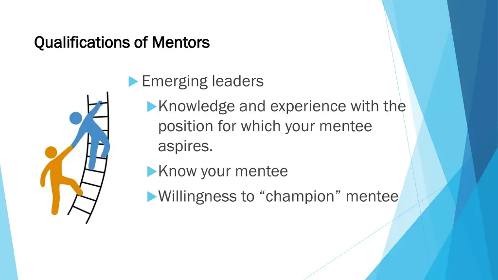 qualifications of mentors qualifications 1