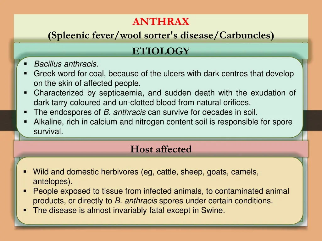 anthrax 1