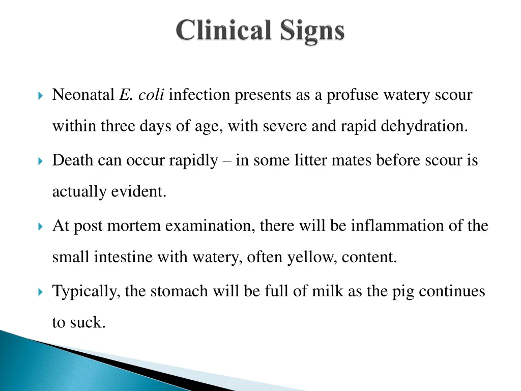 neonatal e coli infection presents as a profuse