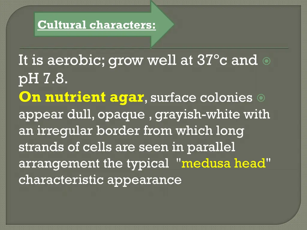 cultural characters