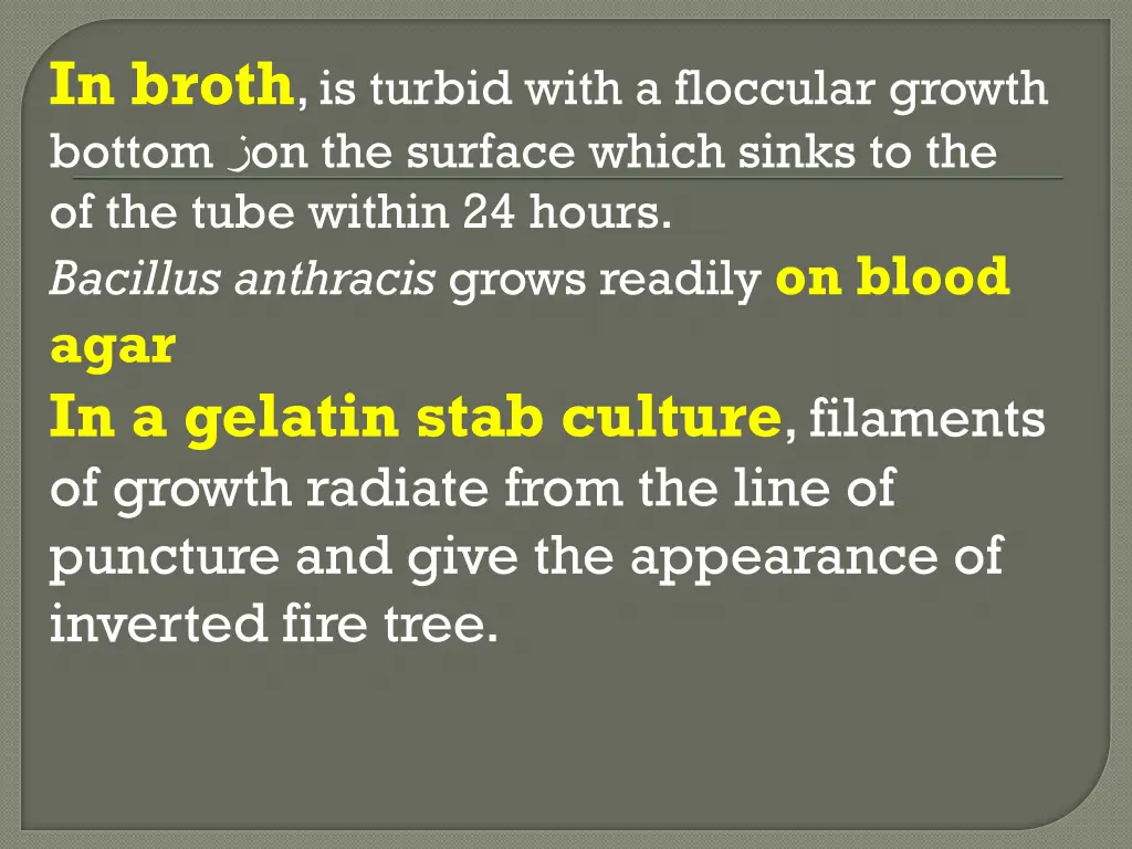 in broth is turbid with a floccular growth