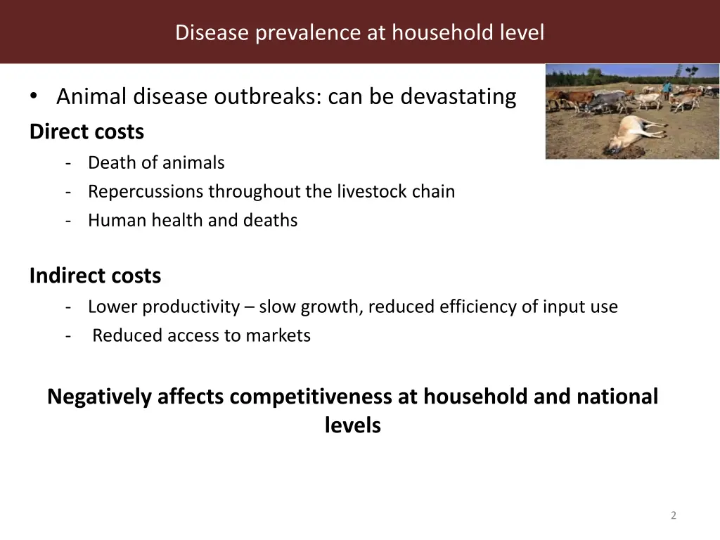 disease prevalence at household level 1
