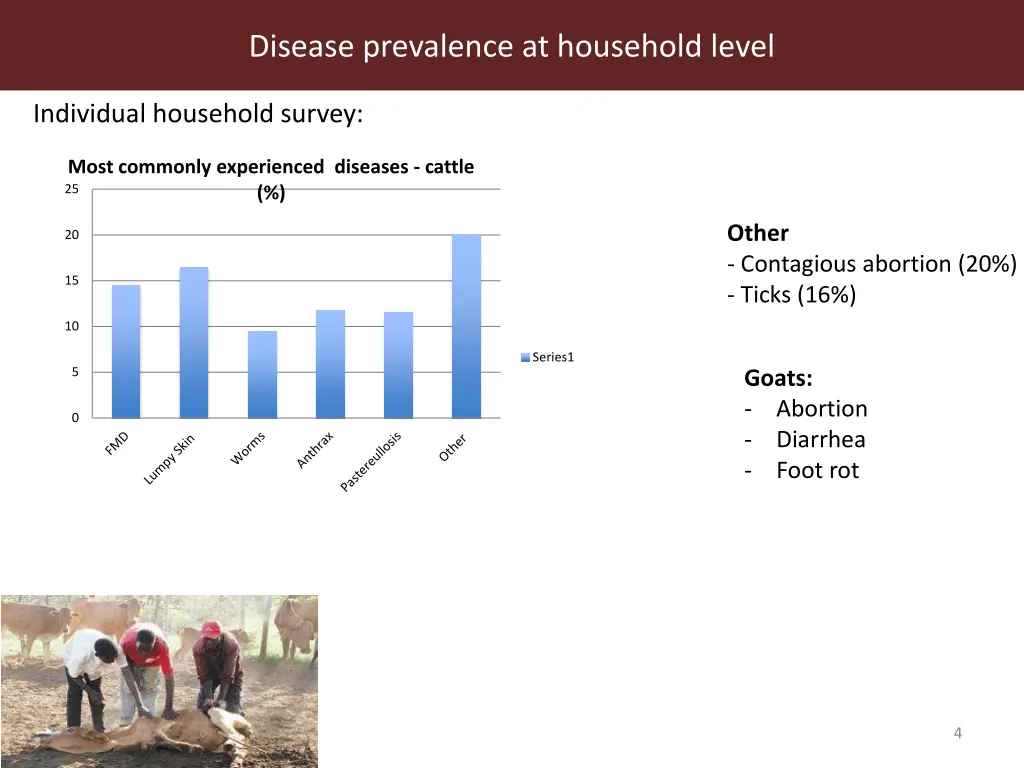 disease prevalence at household level 3