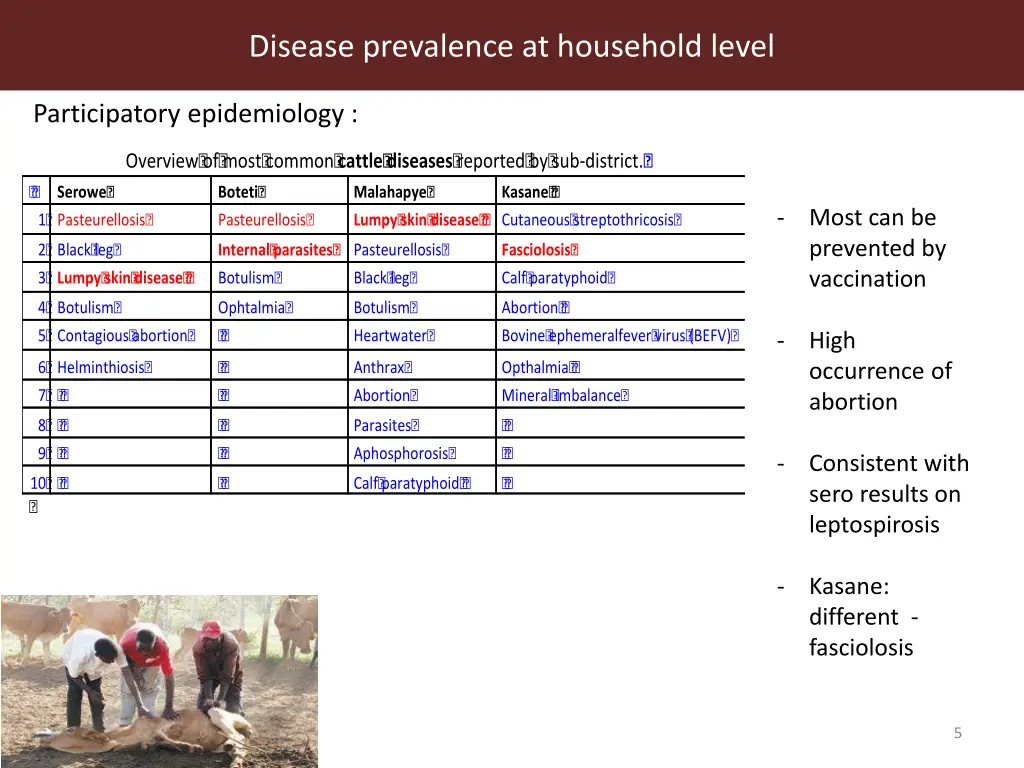disease prevalence at household level 4