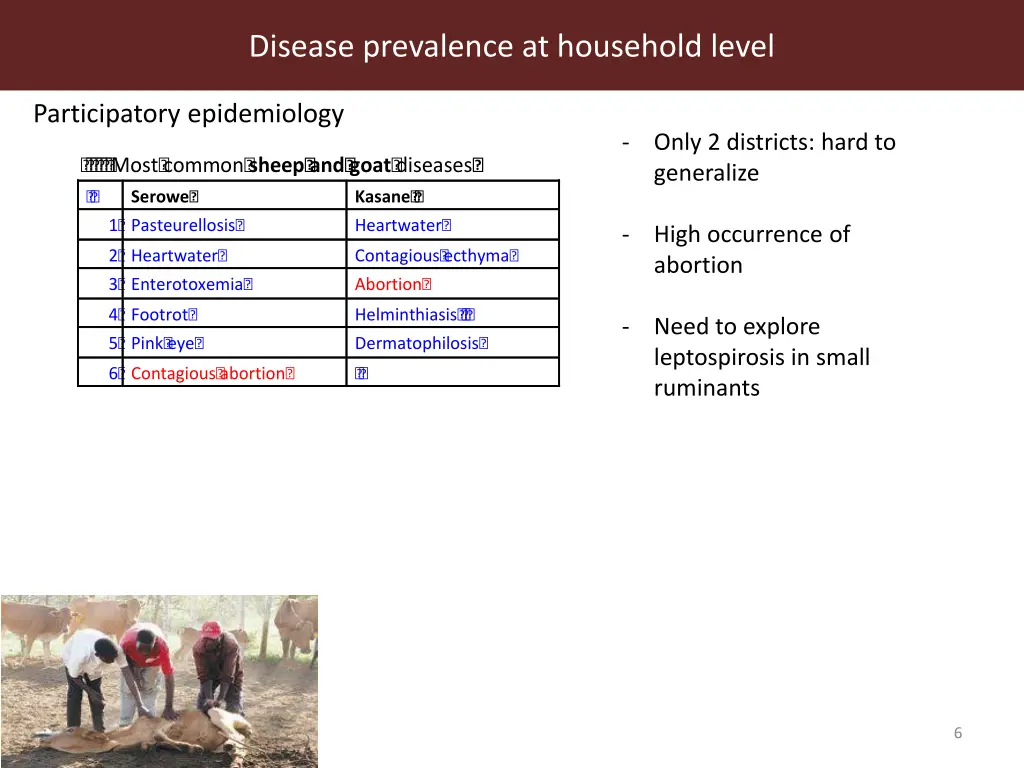 disease prevalence at household level 5