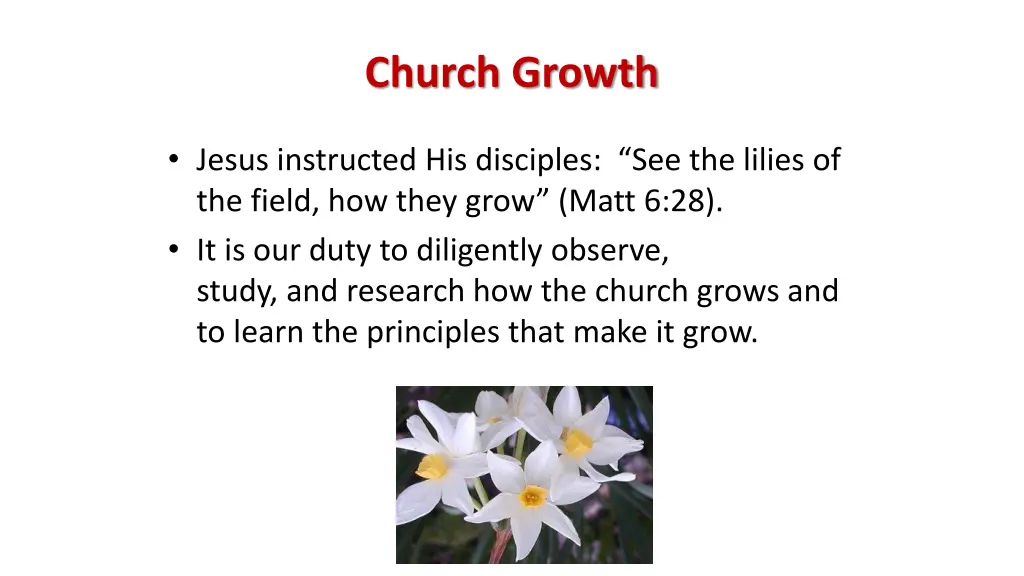 church growth 2