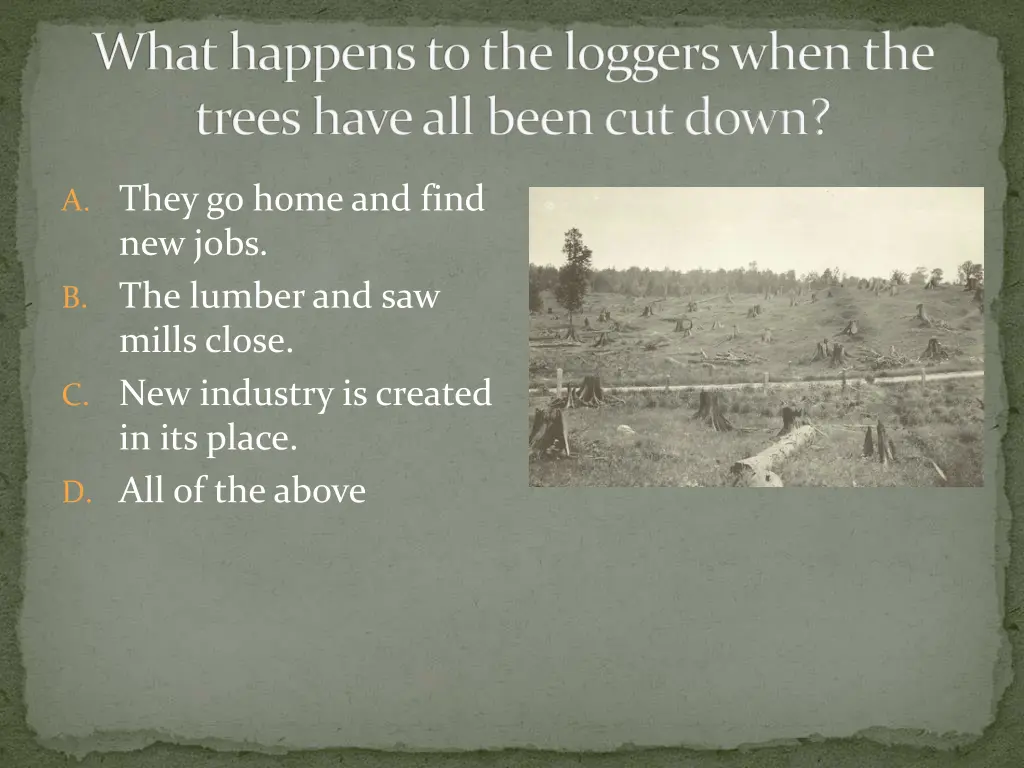 what happens to the loggers when the trees have