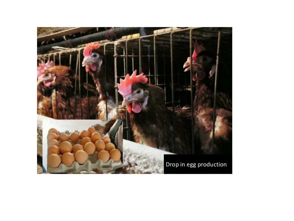 slide13
