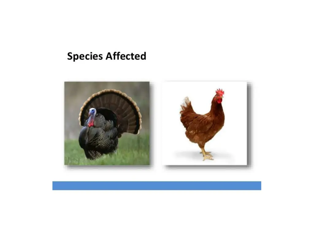 slide3