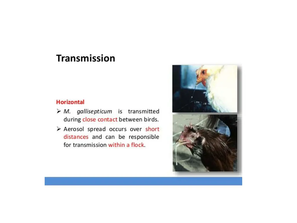 slide5