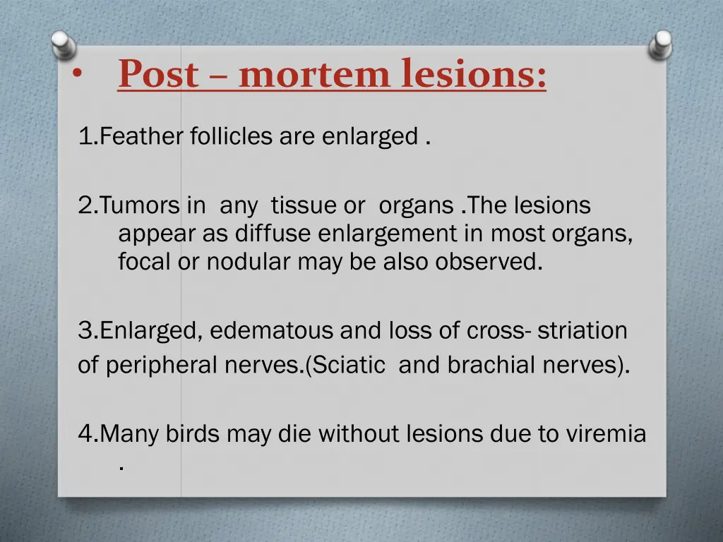 post mortem lesions