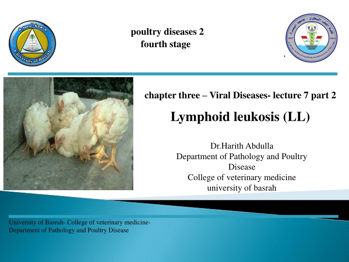 poultry diseases 2 fourth stage