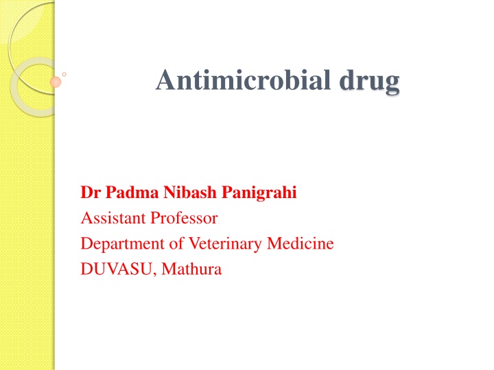 antimicrobial drug