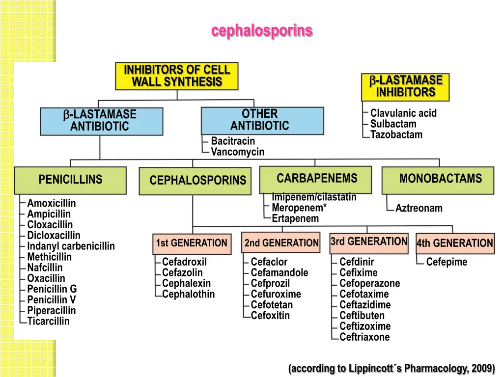 cephalosporins