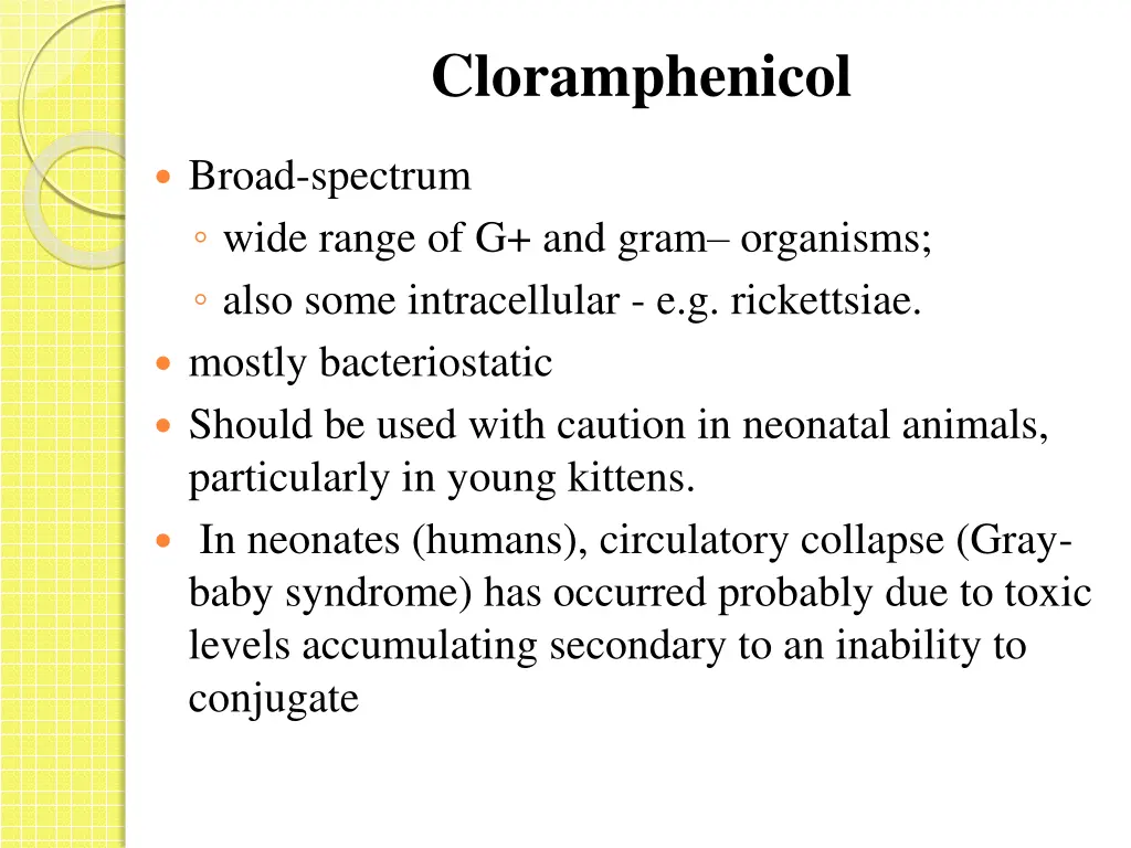 cloramphenicol