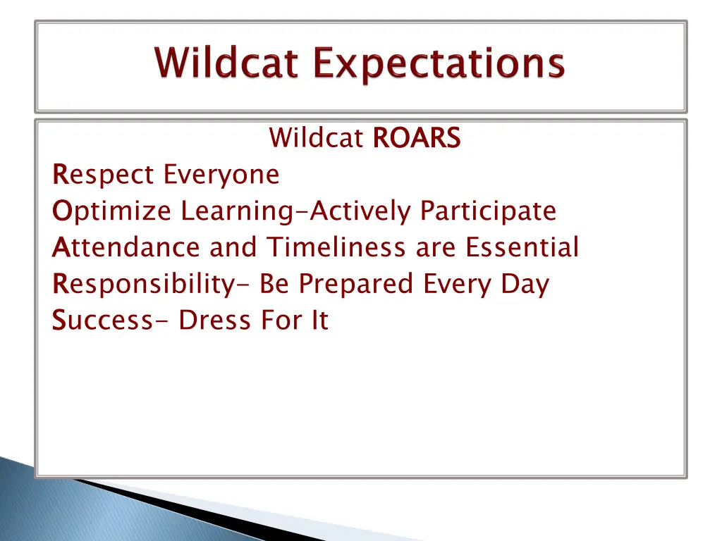 wildcat roars