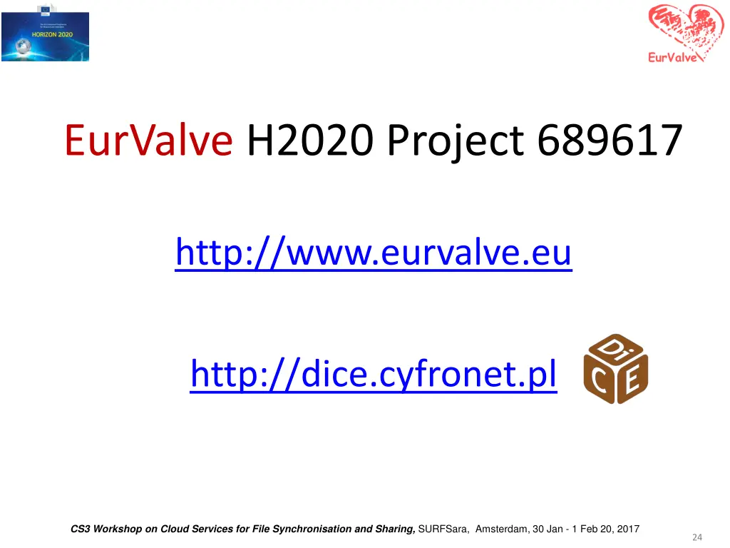 eurvalve h2020 project 689617