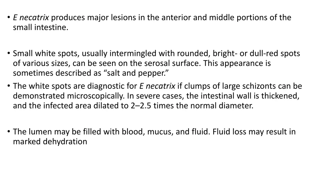 e necatrix produces major lesions in the anterior