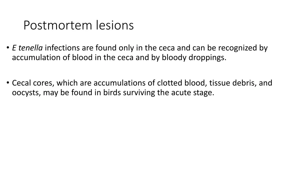 postmortem lesions