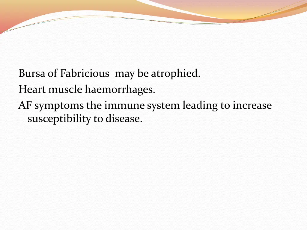 bursa of fabricious may be atrophied heart muscle