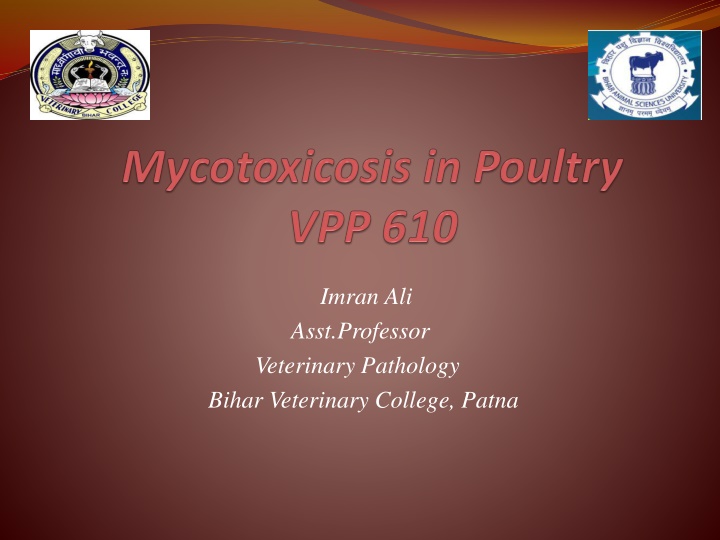 imran ali asst professor veterinary pathology