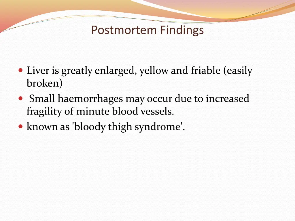 postmortem findings