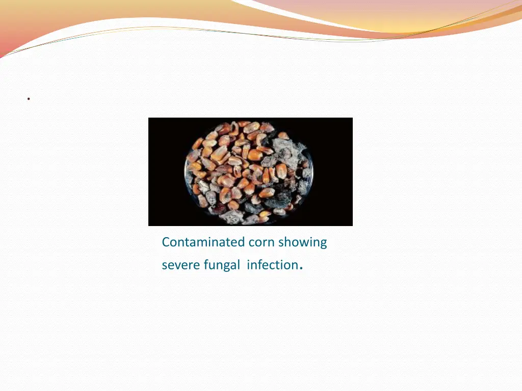 slide12