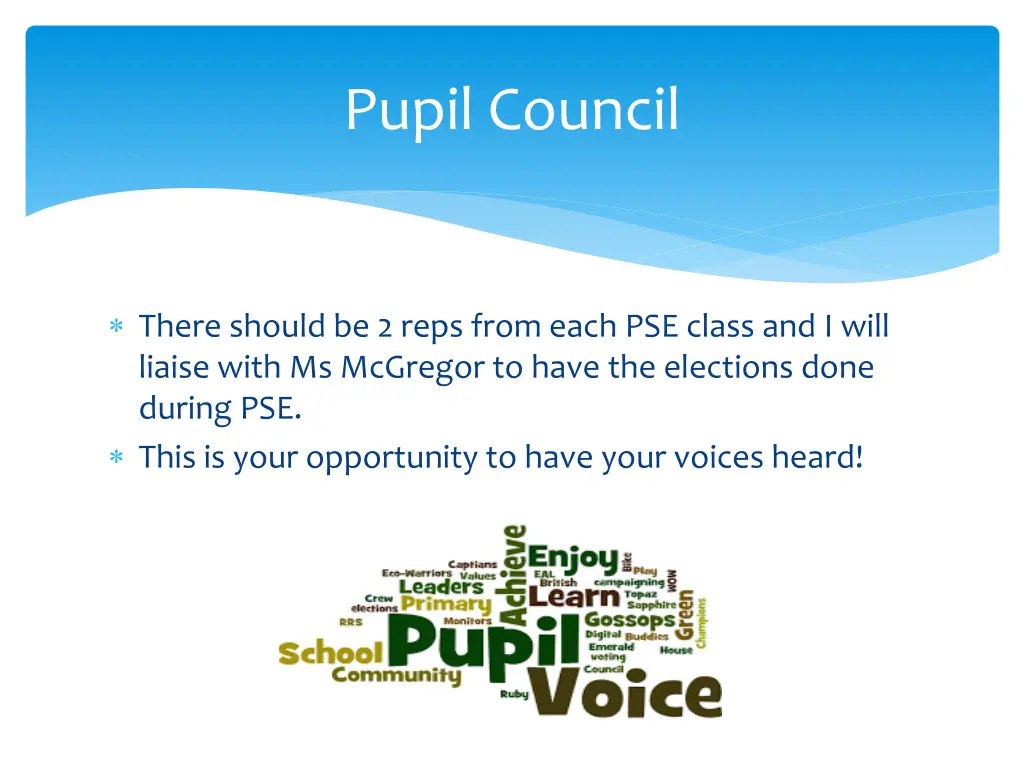 pupil council
