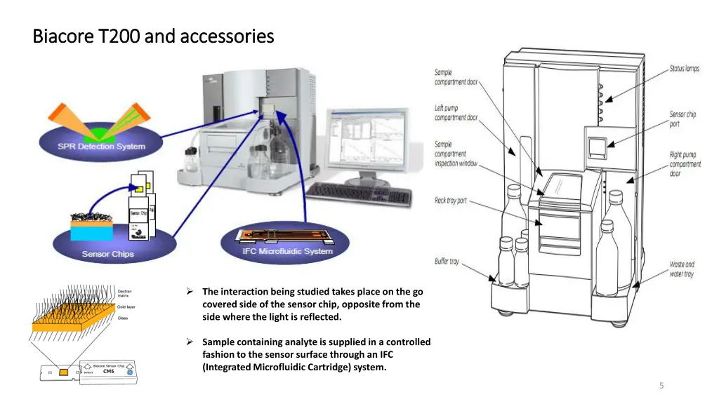 biacore biacore t200 and accessories t200